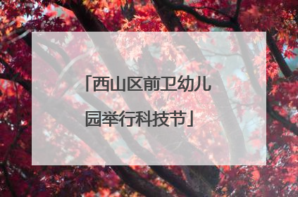 西山区前卫幼儿园举行科技节