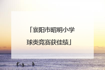 襄阳市昭明小学球类竞赛获佳绩