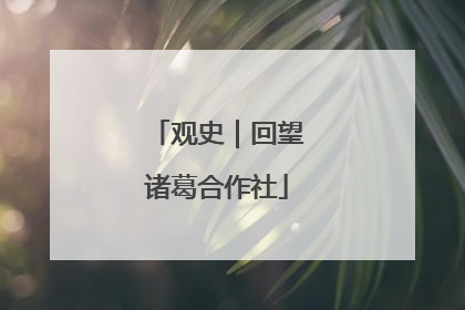 观史｜回望诸葛合作社