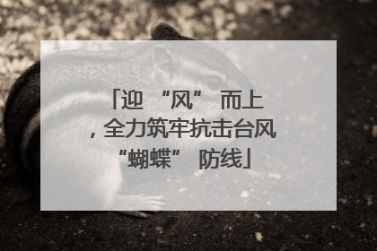 迎 “风” 而上，全力筑牢抗击台风 “蝴蝶” 防线
