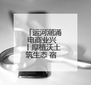 运河潮涌 电商业兴丨厚植沃土筑生态 宿迁电商发展跑出“加速度”