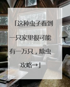 这种虫子看到一只家里很可能有一万只，除虫攻略→
