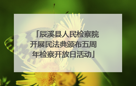 辰溪县人民检察院开展民法典颁布五周年检察开放日活动