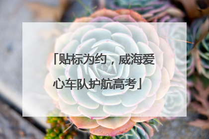 贴标为约，威海爱心车队护航高考