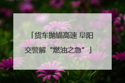 货车抛锚高速 阜阳交警解“燃油之急”