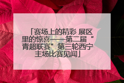赛场上的精彩 展区里的惊喜——第二届“青超联赛”第三轮西宁主场比赛见闻