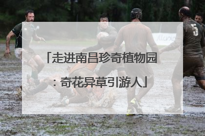 走进南昌珍奇植物园：奇花异草引游人