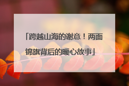 跨越山海的谢意！两面锦旗背后的暖心故事