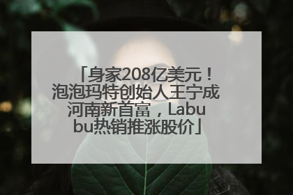 身家208亿美元！泡泡玛特创始人王宁成河南新首富，Labubu热销推涨股价