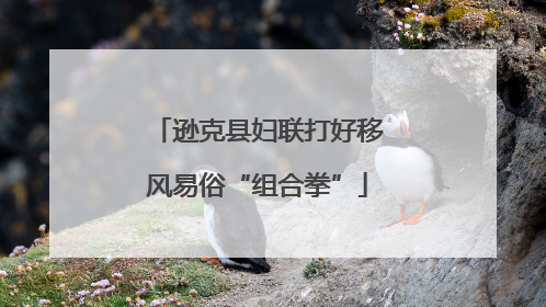 逊克县妇联打好移风易俗“组合拳”