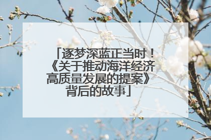 逐梦深蓝正当时！《关于推动海洋经济高质量发展的提案》背后的故事