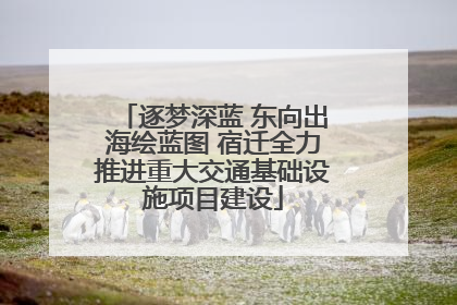 逐梦深蓝 东向出海绘蓝图 宿迁全力推进重大交通基础设施项目建设