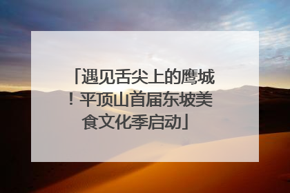 遇见舌尖上的鹰城！平顶山首届东坡美食文化季启动