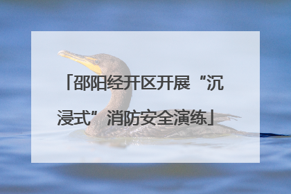 邵阳经开区开展“沉浸式”消防安全演练