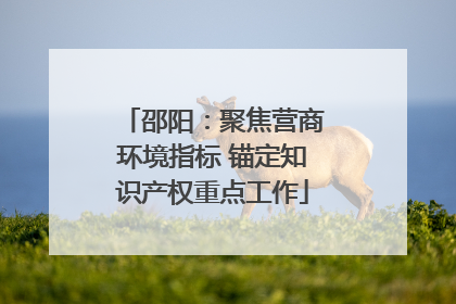 邵阳：聚焦营商环境指标 锚定知识产权重点工作
