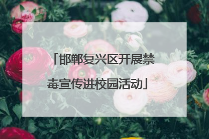 邯郸复兴区开展禁毒宣传进校园活动