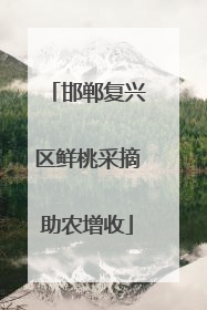 邯郸复兴区鲜桃采摘助农增收