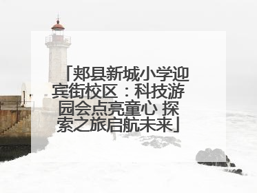 郏县新城小学迎宾街校区：科技游园会点亮童心 探索之旅启航未来