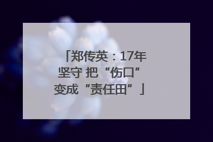郑传英：17年坚守 把“伤口”变成“责任田”