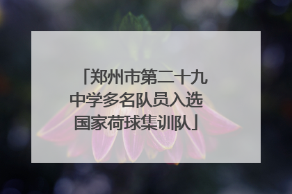 郑州市第二十九中学多名队员入选国家荷球集训队