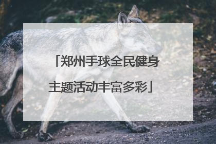 郑州手球全民健身主题活动丰富多彩