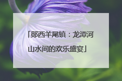 郧西羊尾镇：龙潭河山水间的欢乐盛宴
