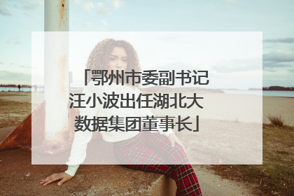 鄂州市委副书记汪小波出任湖北大数据集团董事长