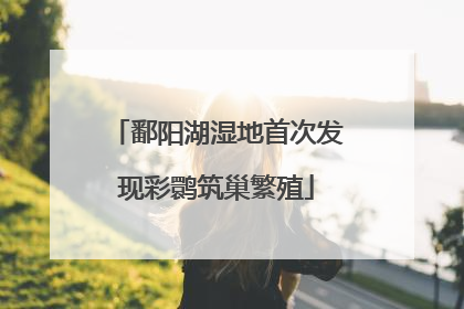 鄱阳湖湿地首次发现彩鹮筑巢繁殖