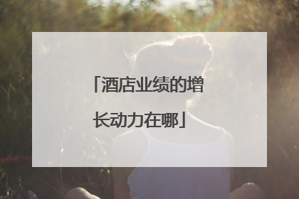 酒店业绩的增长动力在哪