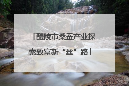 醴陵市桑蚕产业探索致富新“丝”路