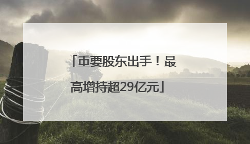重要股东出手！最高增持超29亿元