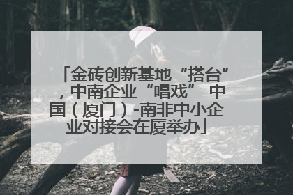 金砖创新基地“搭台”，中南企业“唱戏” 中国（厦门）-南非中小企业对接会在厦举办