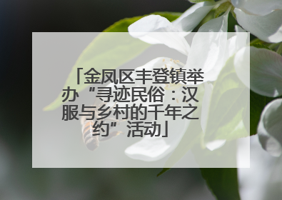 金凤区丰登镇举办“寻迹民俗：汉服与乡村的千年之约”活动