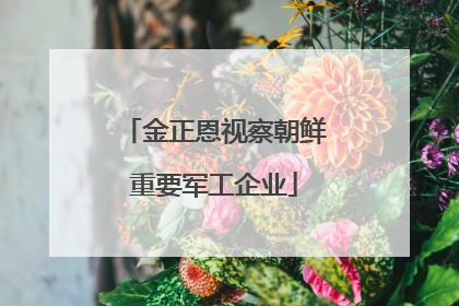 金正恩视察朝鲜重要军工企业