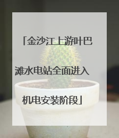 金沙江上游叶巴滩水电站全面进入机电安装阶段