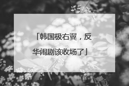 韩国极右翼，反华闹剧该收场了