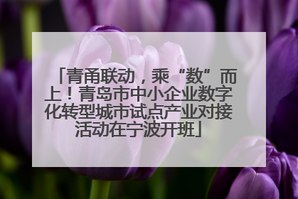 青甬联动，乘“数”而上！青岛市中小企业数字化转型城市试点产业对接活动在宁波开班