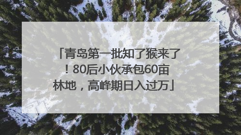 青岛第一批知了猴来了！80后小伙承包60亩林地，高峰期日入过万