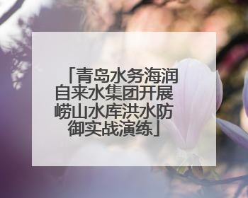 青岛水务海润自来水集团开展崂山水库洪水防御实战演练