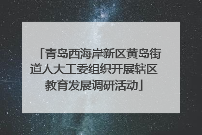 青岛西海岸新区黄岛街道人大工委组织开展辖区教育发展调研活动