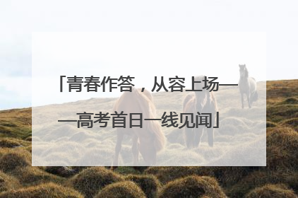 青春作答，从容上场——高考首日一线见闻