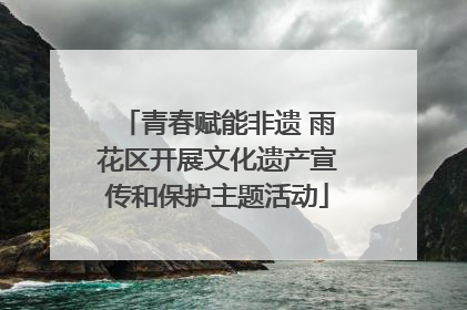 青春赋能非遗 雨花区开展文化遗产宣传和保护主题活动