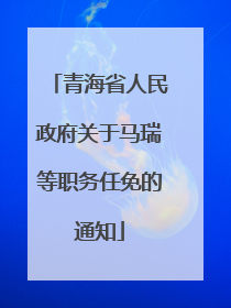 青海省人民政府关于马瑞等职务任免的通知