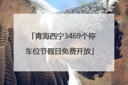 青海西宁3469个停车位节假日免费开放