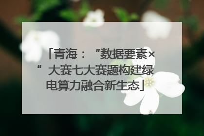 青海：“数据要素×”大赛七大赛题构建绿电算力融合新生态