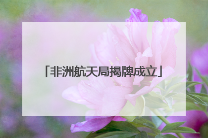 非洲航天局揭牌成立
