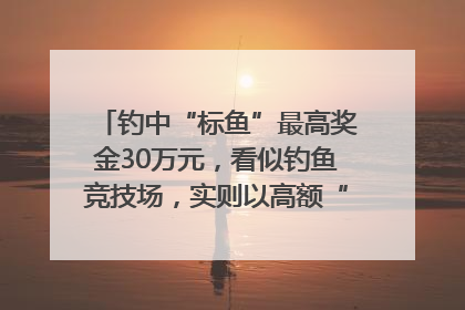 钓中“标鱼”最高奖金30万元，看似钓鱼竞技场，实则以高额“回报”作“饵”……｜今晚九点半