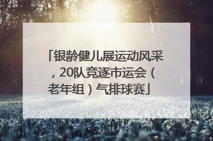 银龄健儿展运动风采，20队竞逐市运会（老年组）气排球赛