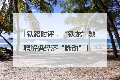 铁路时评：“铁龙”驰骋解码经济“脉动”