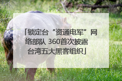 锁定台“资通电军”网络部队 360首次披露台湾五大黑客组织